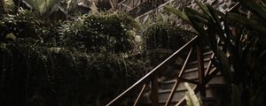 Preview wallpaper stairs, plants, tropical, decorative, building