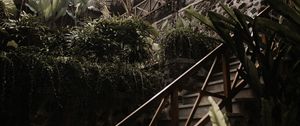 Preview wallpaper stairs, plants, tropical, decorative, building