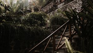 Preview wallpaper stairs, plants, tropical, decorative, building