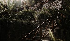 Preview wallpaper stairs, plants, tropical, decorative, building