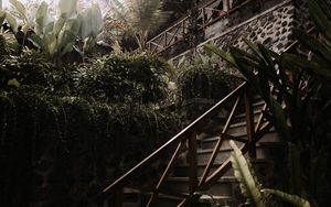 Preview wallpaper stairs, plants, tropical, decorative, building