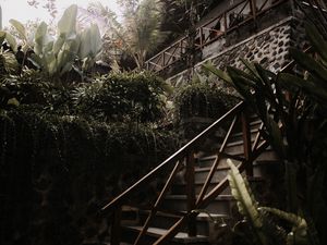 Preview wallpaper stairs, plants, tropical, decorative, building