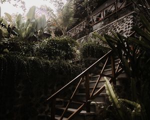 Preview wallpaper stairs, plants, tropical, decorative, building