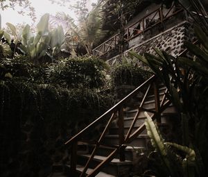 Preview wallpaper stairs, plants, tropical, decorative, building