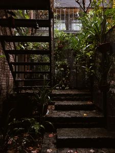 Preview wallpaper stairs, rise, architecture, plants, leaves