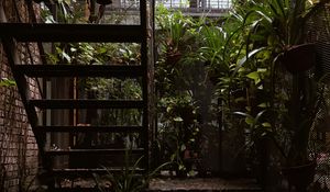 Preview wallpaper stairs, rise, architecture, plants, leaves