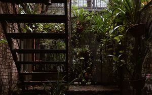 Preview wallpaper stairs, rise, architecture, plants, leaves