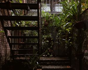 Preview wallpaper stairs, rise, architecture, plants, leaves