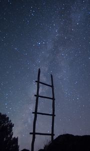 Preview wallpaper stairs, starry sky, trees, minimalism, night