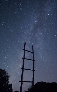 Preview wallpaper stairs, starry sky, trees, minimalism, night