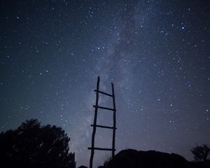 Preview wallpaper stairs, starry sky, trees, minimalism, night