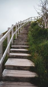 Preview wallpaper stairs, steps, bushes, grass