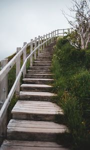 Preview wallpaper stairs, steps, bushes, grass