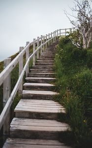 Preview wallpaper stairs, steps, bushes, grass