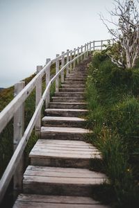 Preview wallpaper stairs, steps, bushes, grass