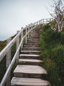 Preview wallpaper stairs, steps, bushes, grass