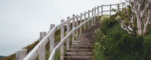 Preview wallpaper stairs, steps, bushes, grass