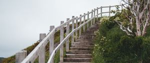 Preview wallpaper stairs, steps, bushes, grass