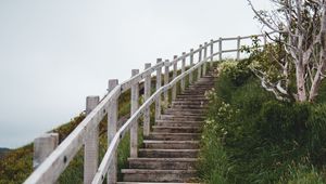 Preview wallpaper stairs, steps, bushes, grass