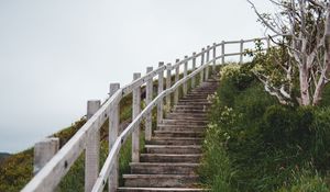 Preview wallpaper stairs, steps, bushes, grass