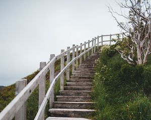 Preview wallpaper stairs, steps, bushes, grass