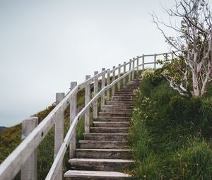 Preview wallpaper stairs, steps, bushes, grass