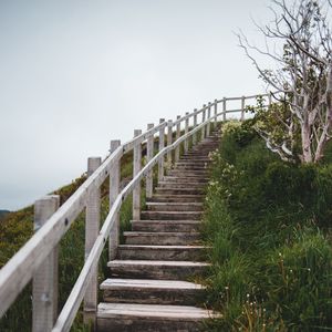 Preview wallpaper stairs, steps, bushes, grass