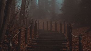 Preview wallpaper stairs, steps, forest, trees, haze, fog