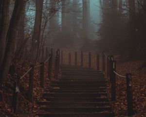 Preview wallpaper stairs, steps, forest, trees, haze, fog