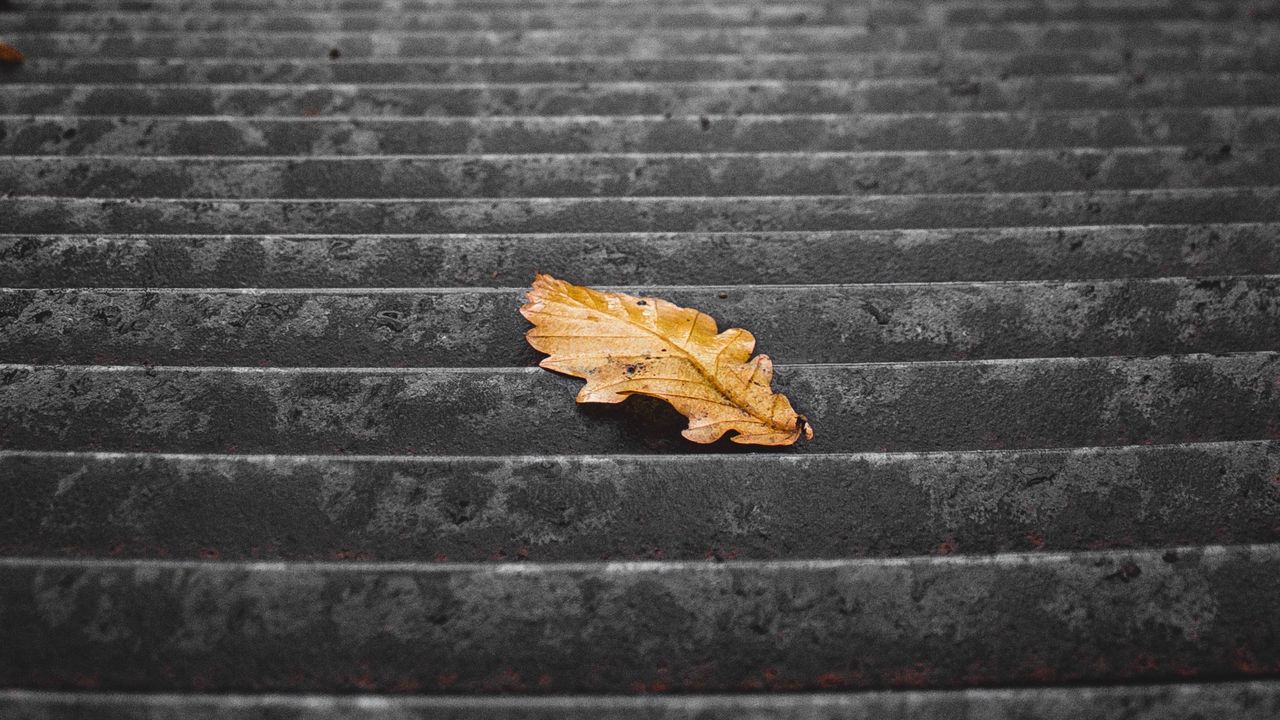 Wallpaper stairs, steps, leaf, dry, autumn