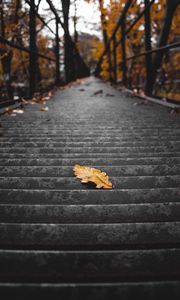 Preview wallpaper stairs, steps, leaf, dry, autumn