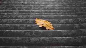 Preview wallpaper stairs, steps, leaf, dry, autumn