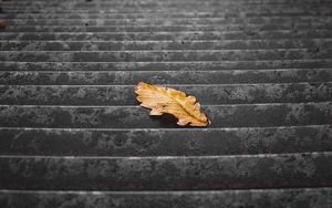 Preview wallpaper stairs, steps, leaf, dry, autumn