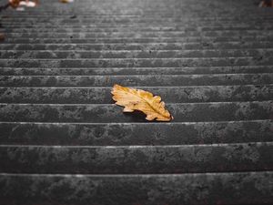 Preview wallpaper stairs, steps, leaf, dry, autumn