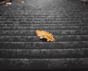 Preview wallpaper stairs, steps, leaf, dry, autumn