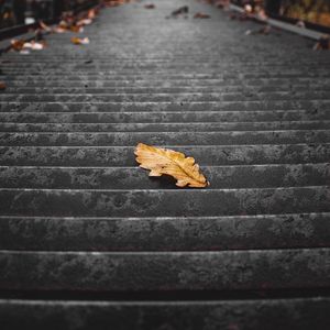 Preview wallpaper stairs, steps, leaf, dry, autumn