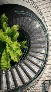 Preview wallpaper stairs, steps, railings, fern