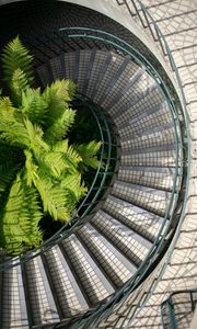 Preview wallpaper stairs, steps, railings, fern