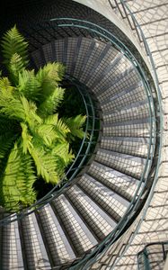 Preview wallpaper stairs, steps, railings, fern