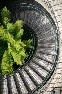 Preview wallpaper stairs, steps, railings, fern