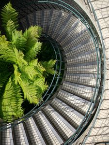 Preview wallpaper stairs, steps, railings, fern