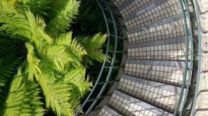 Preview wallpaper stairs, steps, railings, fern