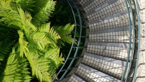 Preview wallpaper stairs, steps, railings, fern