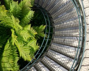 Preview wallpaper stairs, steps, railings, fern