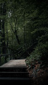 Preview wallpaper stairs, steps, trees, nature