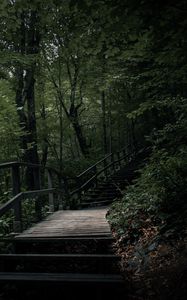 Preview wallpaper stairs, steps, trees, nature