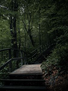 Preview wallpaper stairs, steps, trees, nature