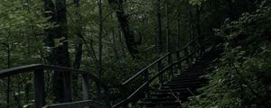 Preview wallpaper stairs, steps, trees, nature