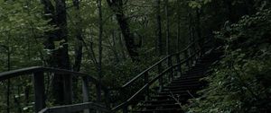 Preview wallpaper stairs, steps, trees, nature