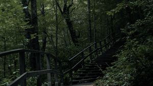 Preview wallpaper stairs, steps, trees, nature
